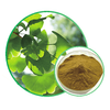 Ginkgo Biloba-uittreksel CP2015