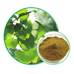 Ginkgo biloba ekstrakt CP2015